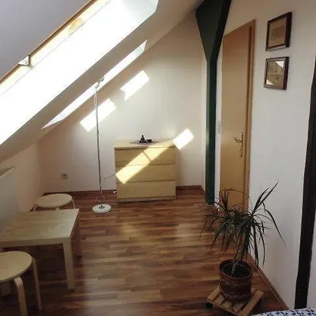 Sehr-schoene-4-raum-maisonette-fewo-mit-100qm-zentral-preiswert-t9 شقة دريسدن